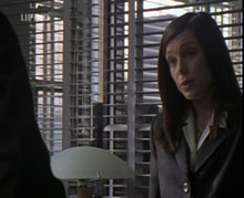 Da Vinci's Inquest: Run by the Monkeys (3)